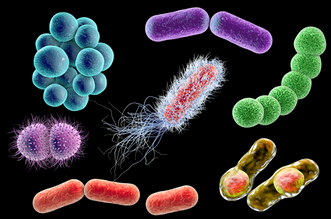 檢測細(xì)菌微生物的儀器都有哪些？